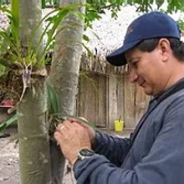 Dr. José Armando Alayón Gamboa