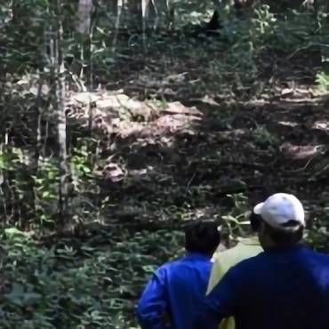 Ecología funcional de bosques tropicales