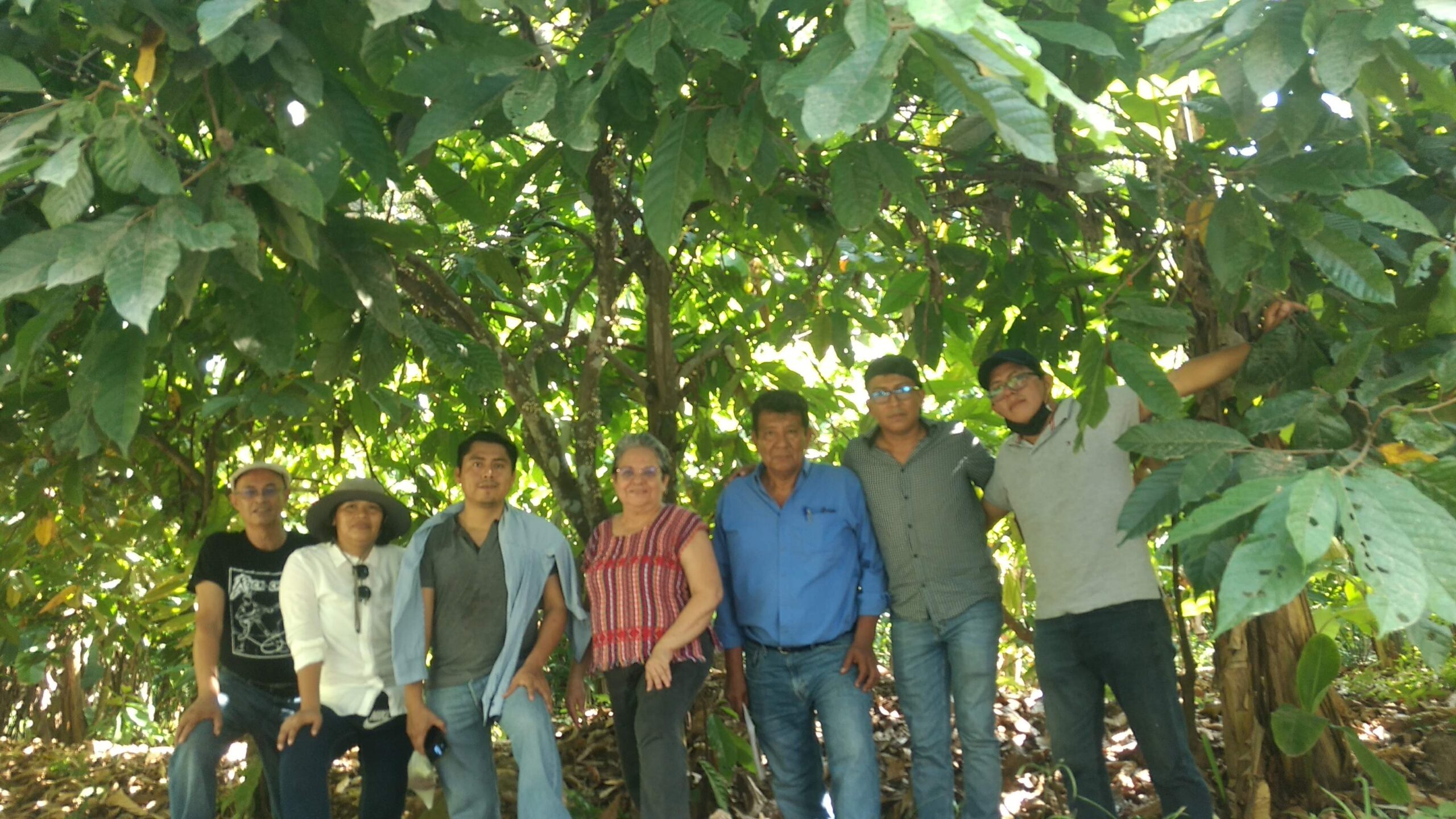 Control fitosanitario de cultivos tropicales, frutales y forestales