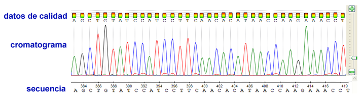 Análisis de secuencias de nucleótidos mediante programas bioinformáticos