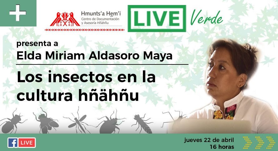 Plática “Los insectos en la cultura hñähñu”