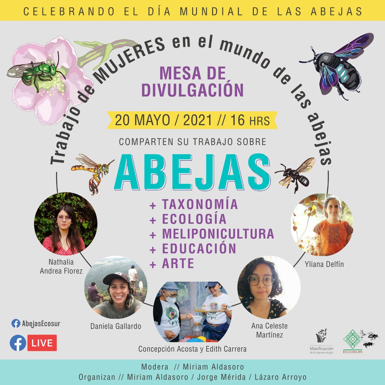 Trabajo de mujeres en el mundo de las abejas