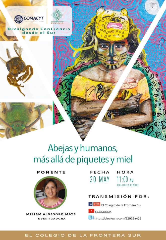 Abejas y humanos, más allá de piquetes y miel