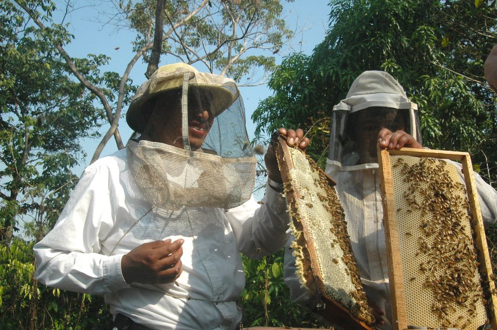 Apicultores Guate 2