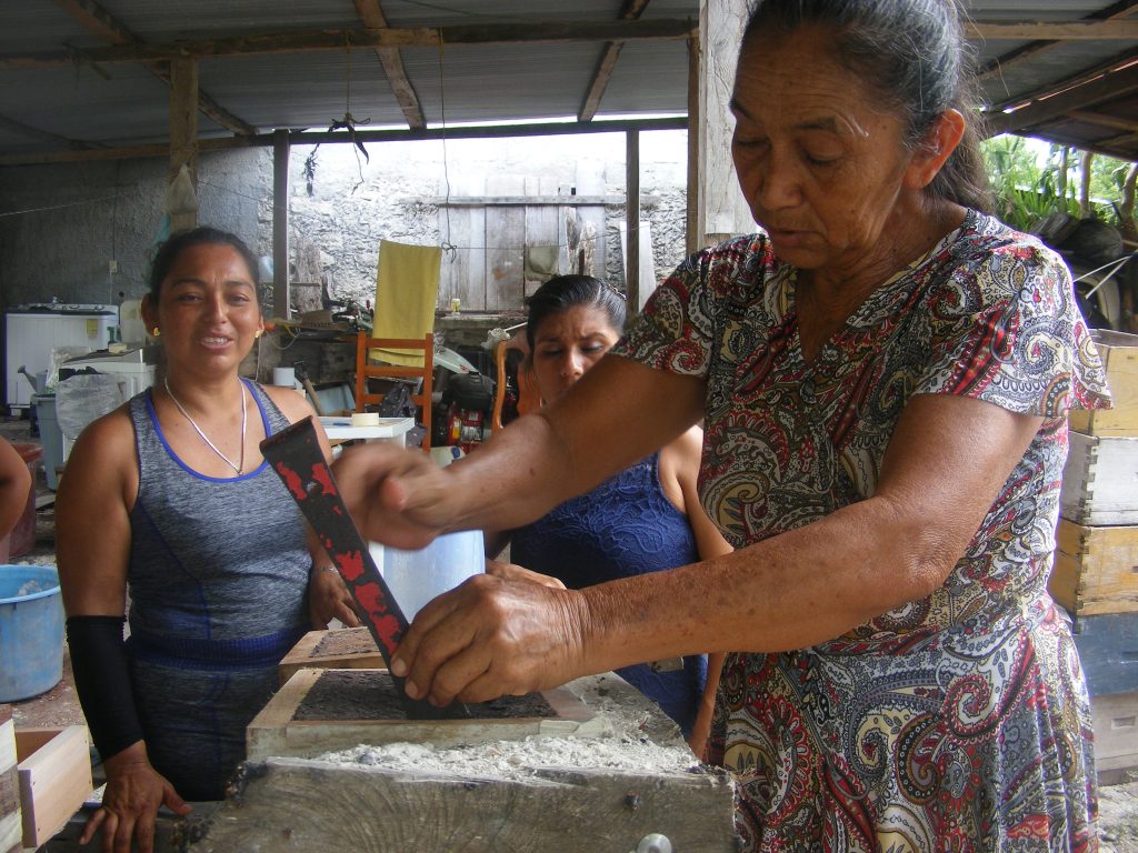 Meliponicultoras península2