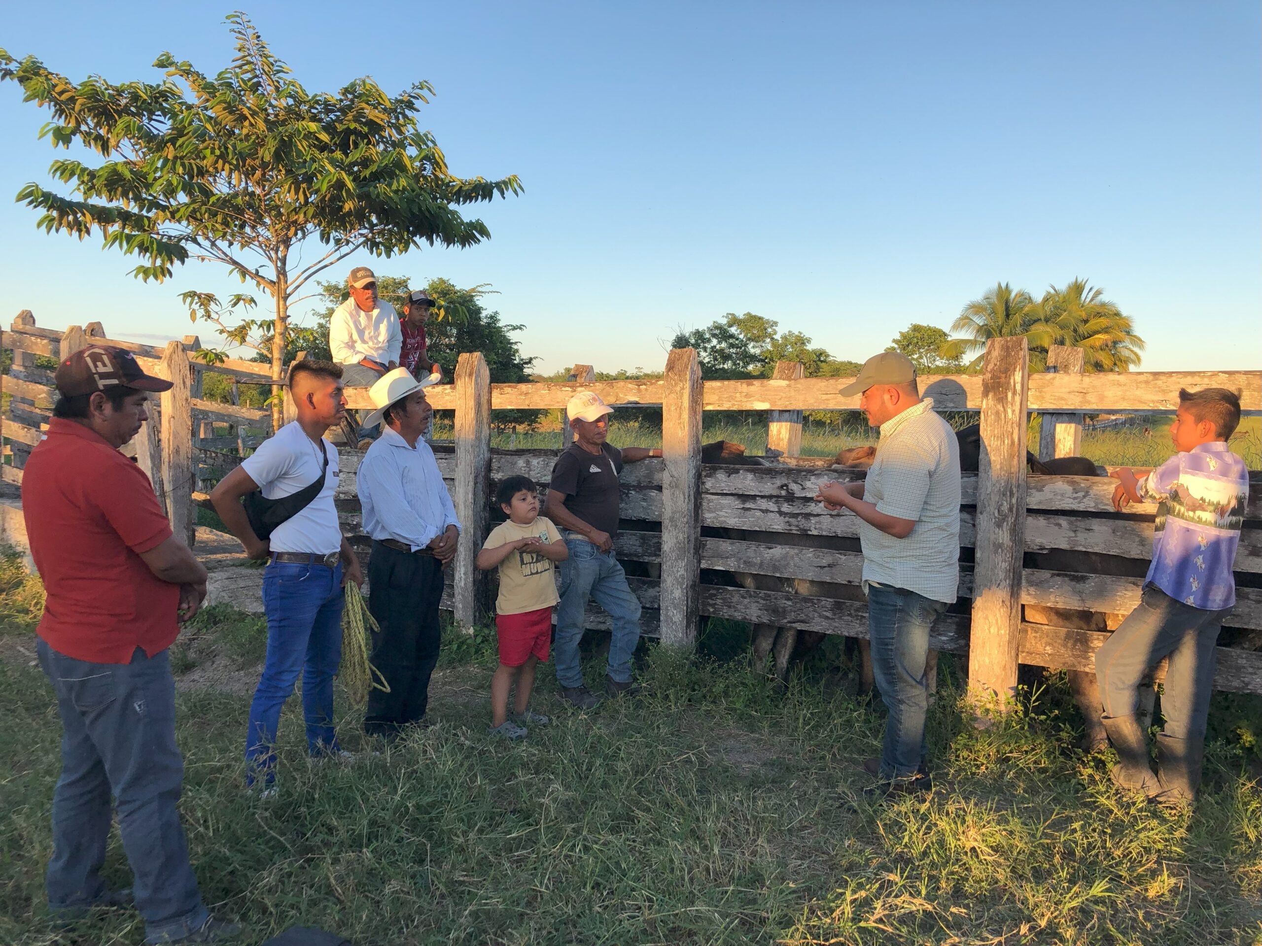 Participación de las comunidades mediante acuerdos participativos: la puesta en marcha de una unidad móvil de intervención para facilitar la coexistencia humano-jaguar en torno a la Reserva de la Biosfera de Calakmul (México)