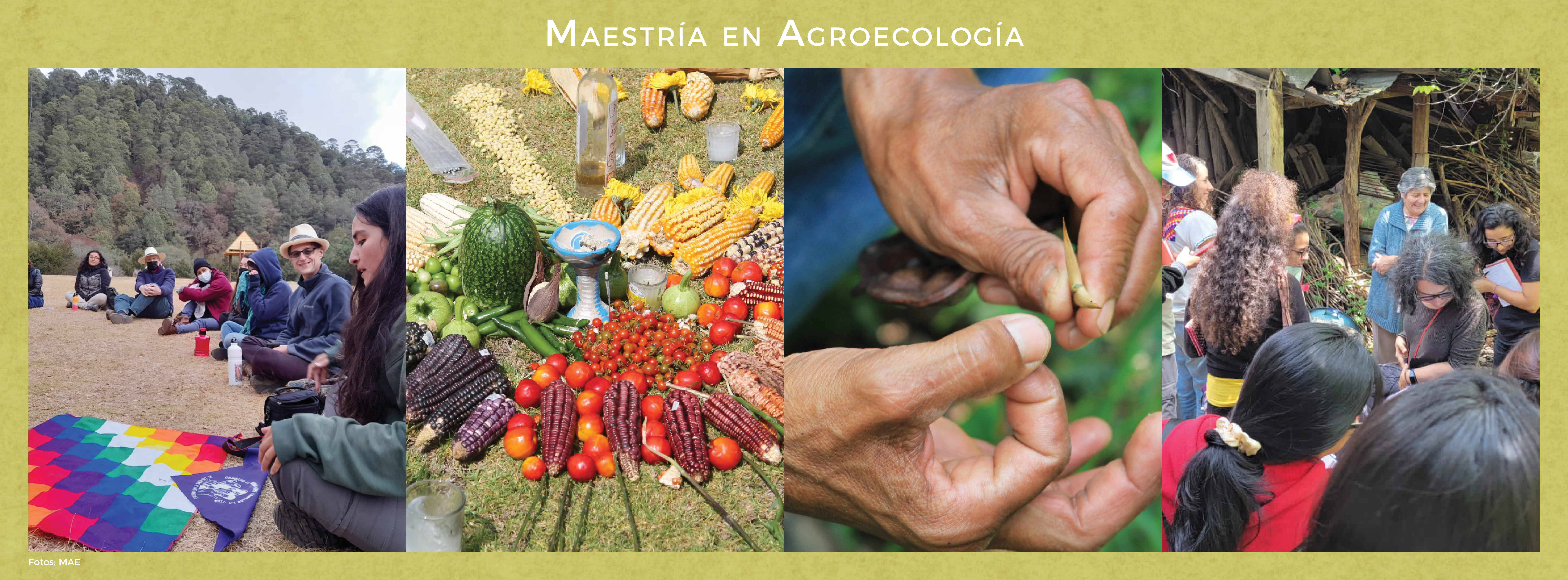 banner agroecología