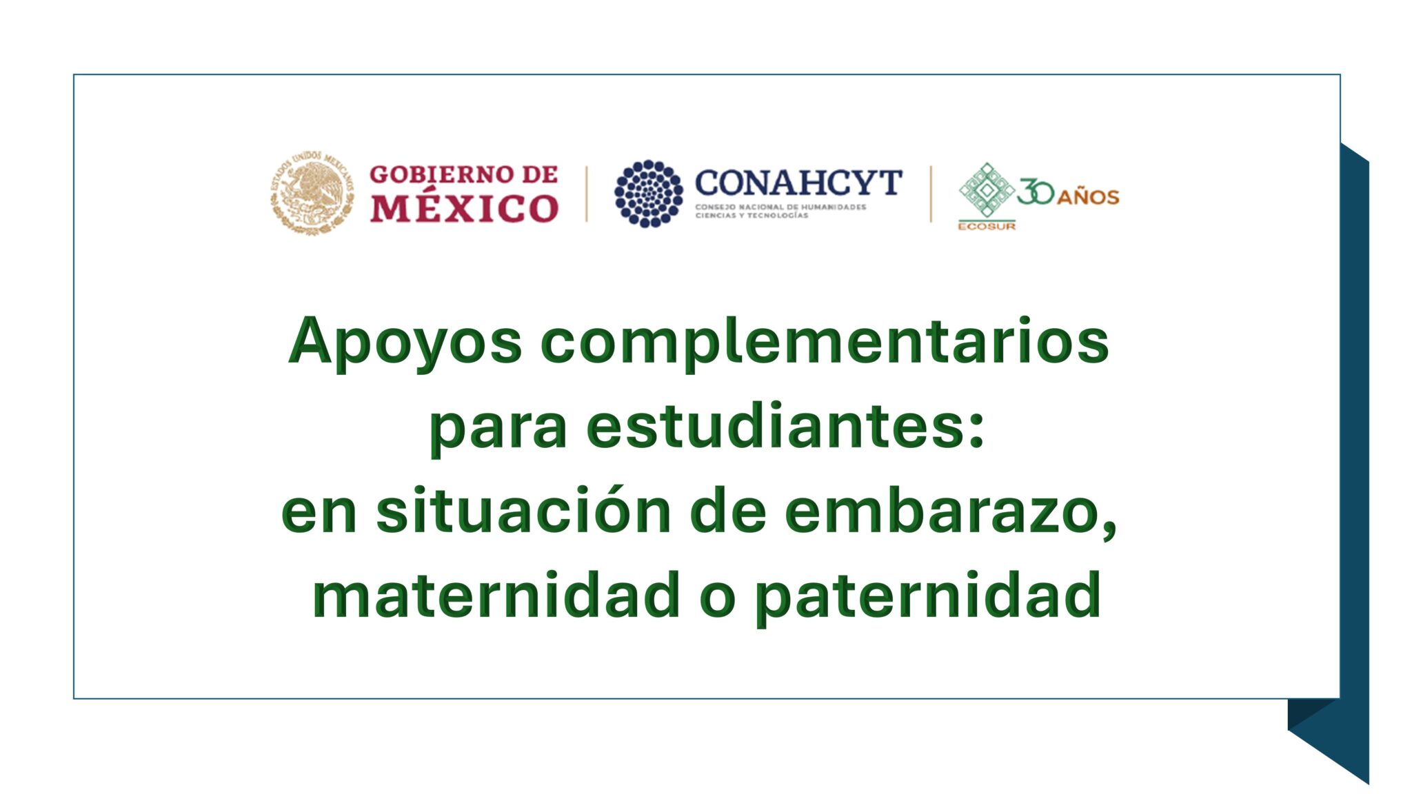 CONVOCATORIA ECOSUR 2024 DE APOYOS COMPLEMENTARIOS PARA ESTUDIANTES: EN SITUACIÓN DE EMBARAZO, MATERNIDAD O PATERNIDAD