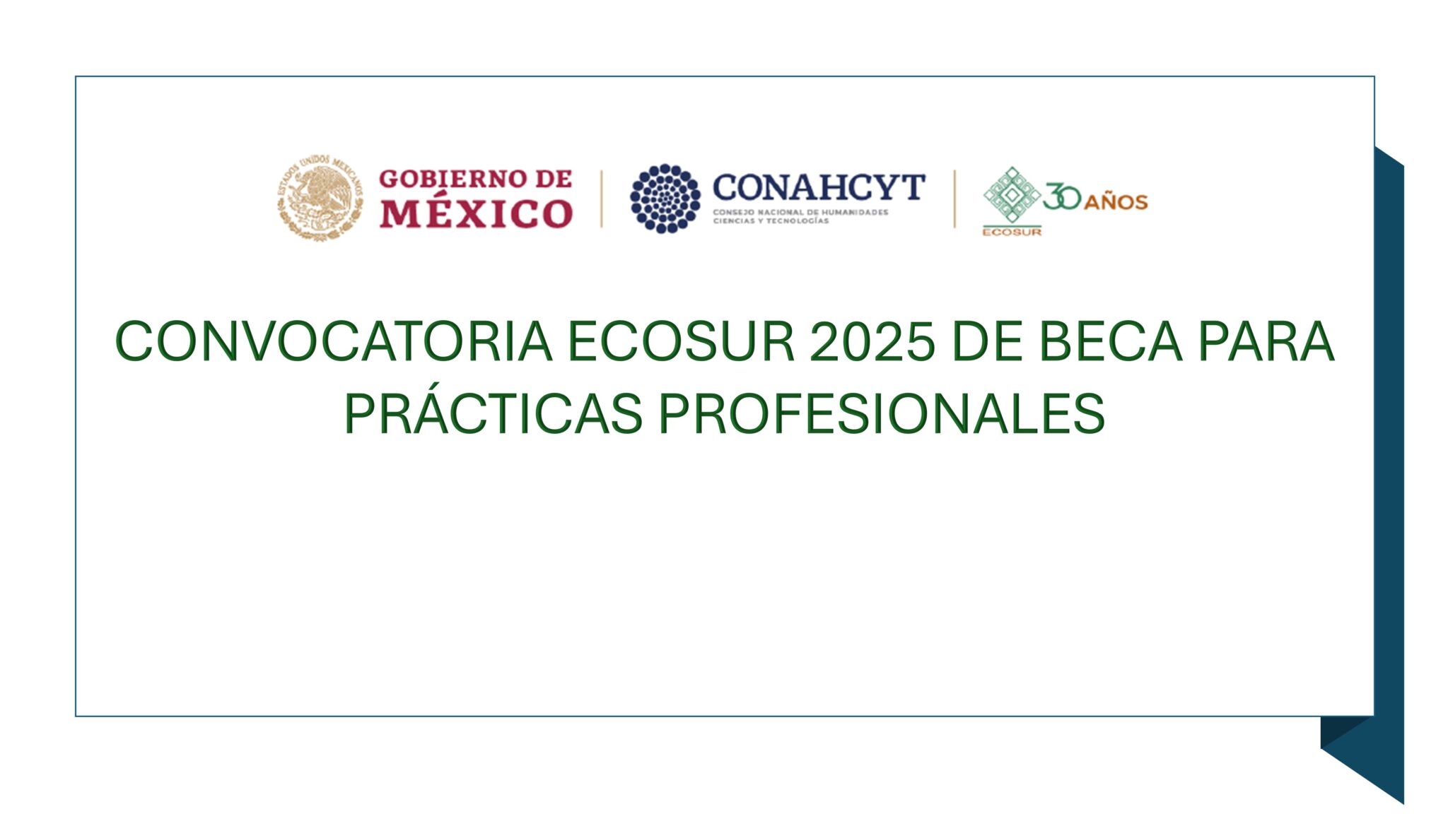 CONVOCATORIA ECOSUR 2025 DE BECA PARA PRÁCTICAS PROFESIONALES