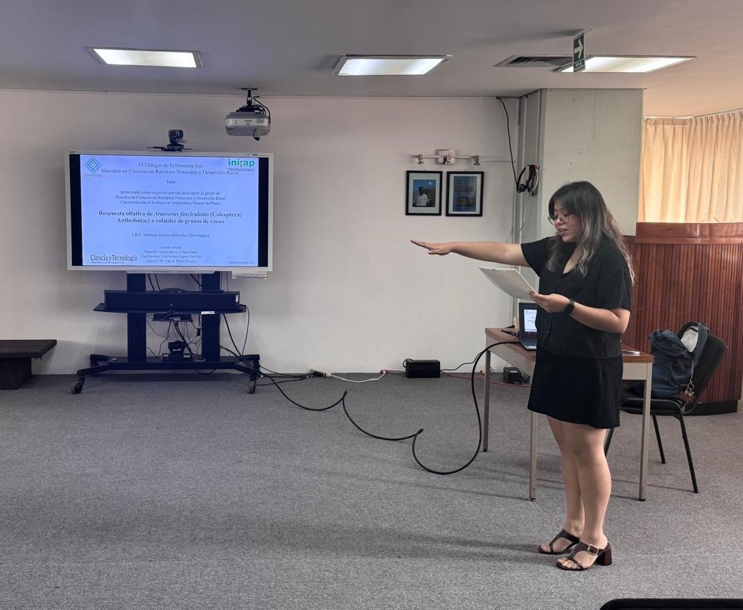 Mónica Jazmín González Domínguez obtiene el grado de Maestra en Ciencias con la tesis “Respuesta olfativa de Araecerus fasciculatus (Coleoptera: Anthribidae) a volátiles de granos de cacao”