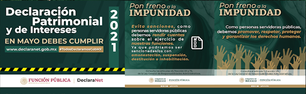Declaración patrimonial