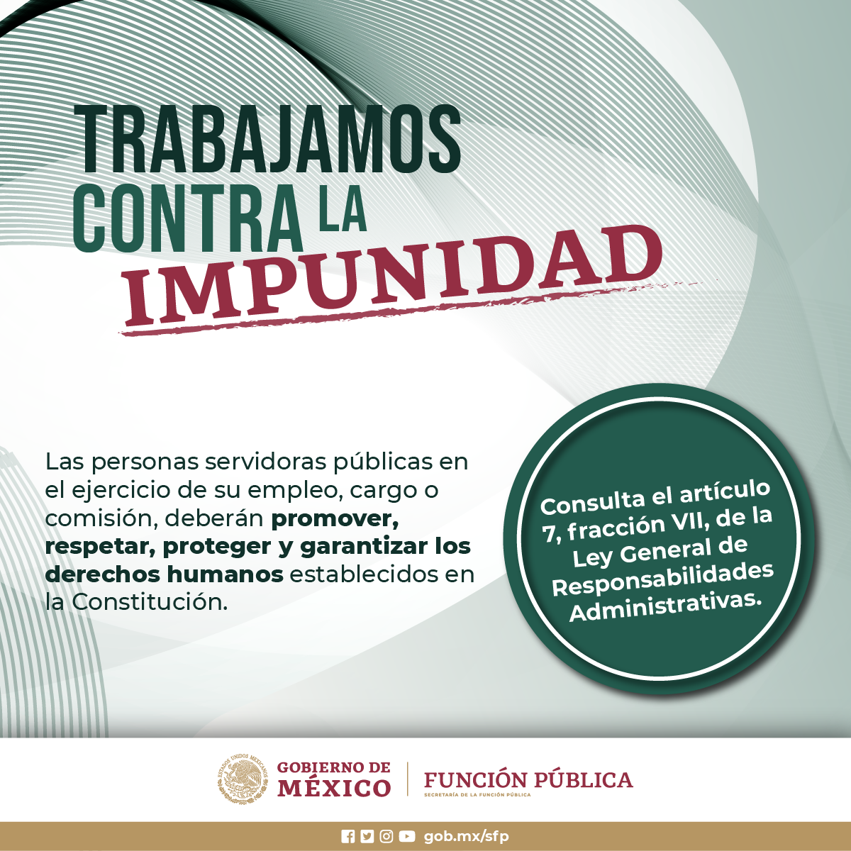 Trabajos contra la impunidad