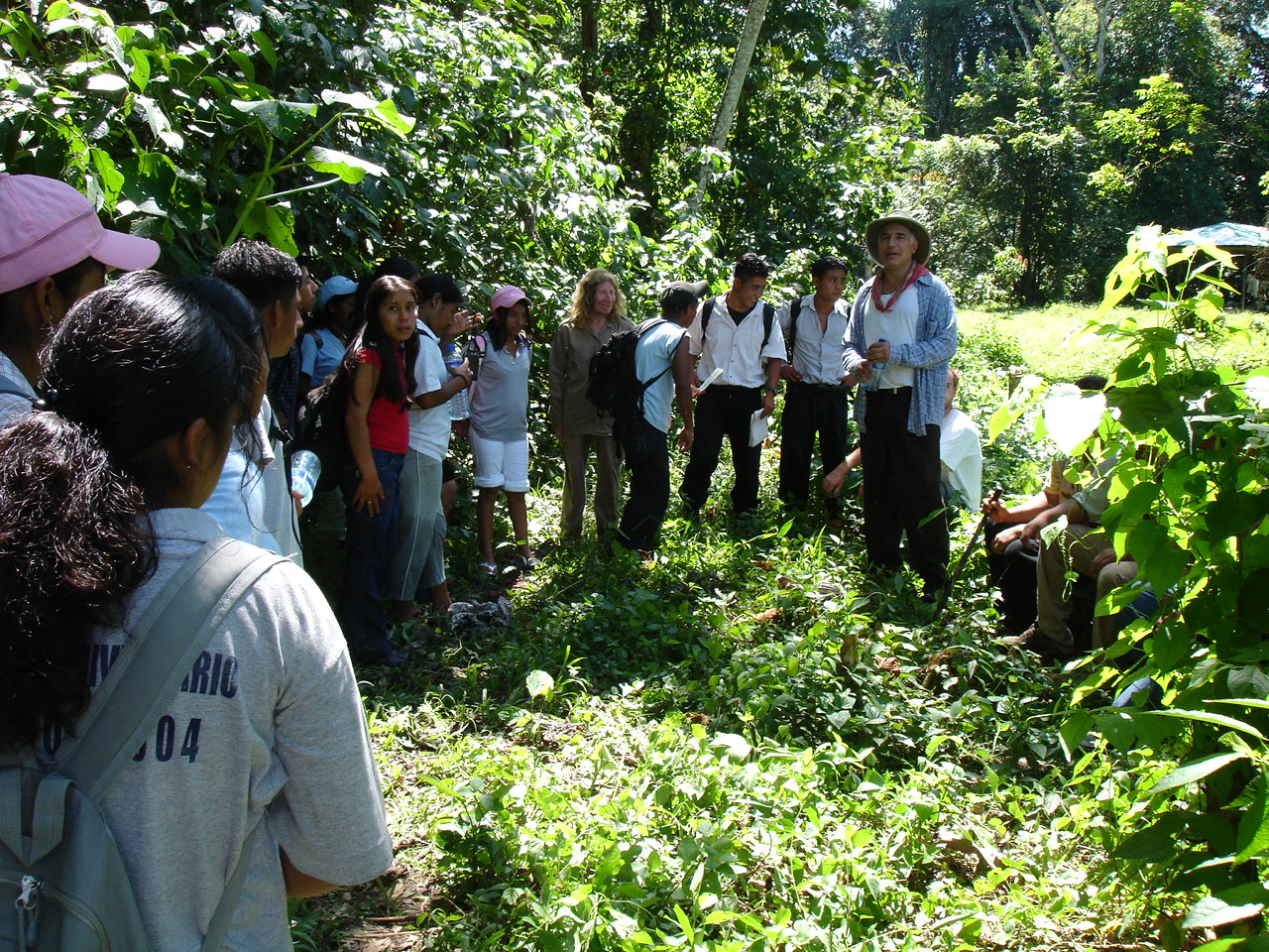 Rehabilitan la Selva Lacandona con técnicas tradicionales