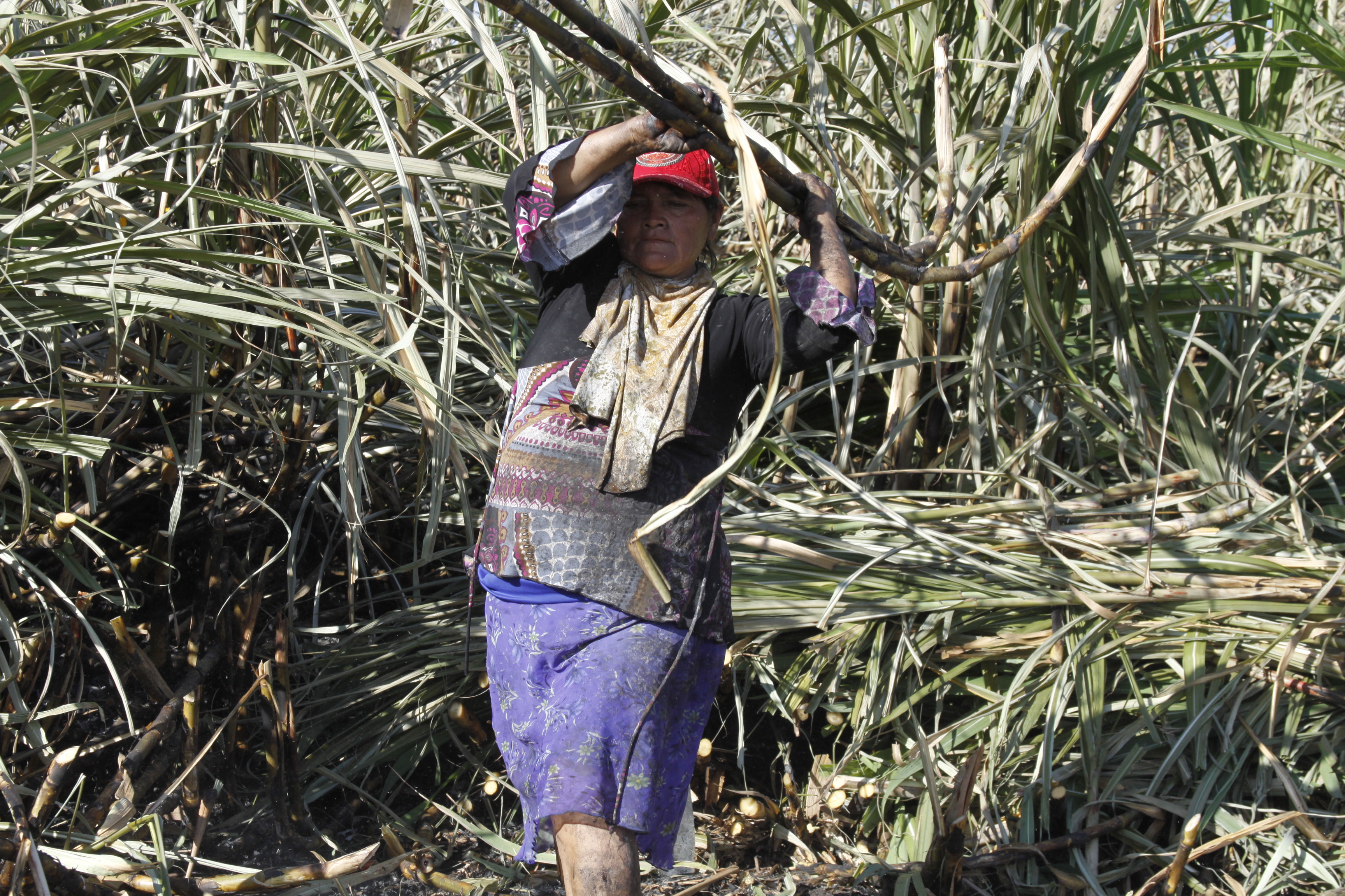 Mujeres mexicanas y guatemaltecas en trabajos sucios, difíciles y peligrosos