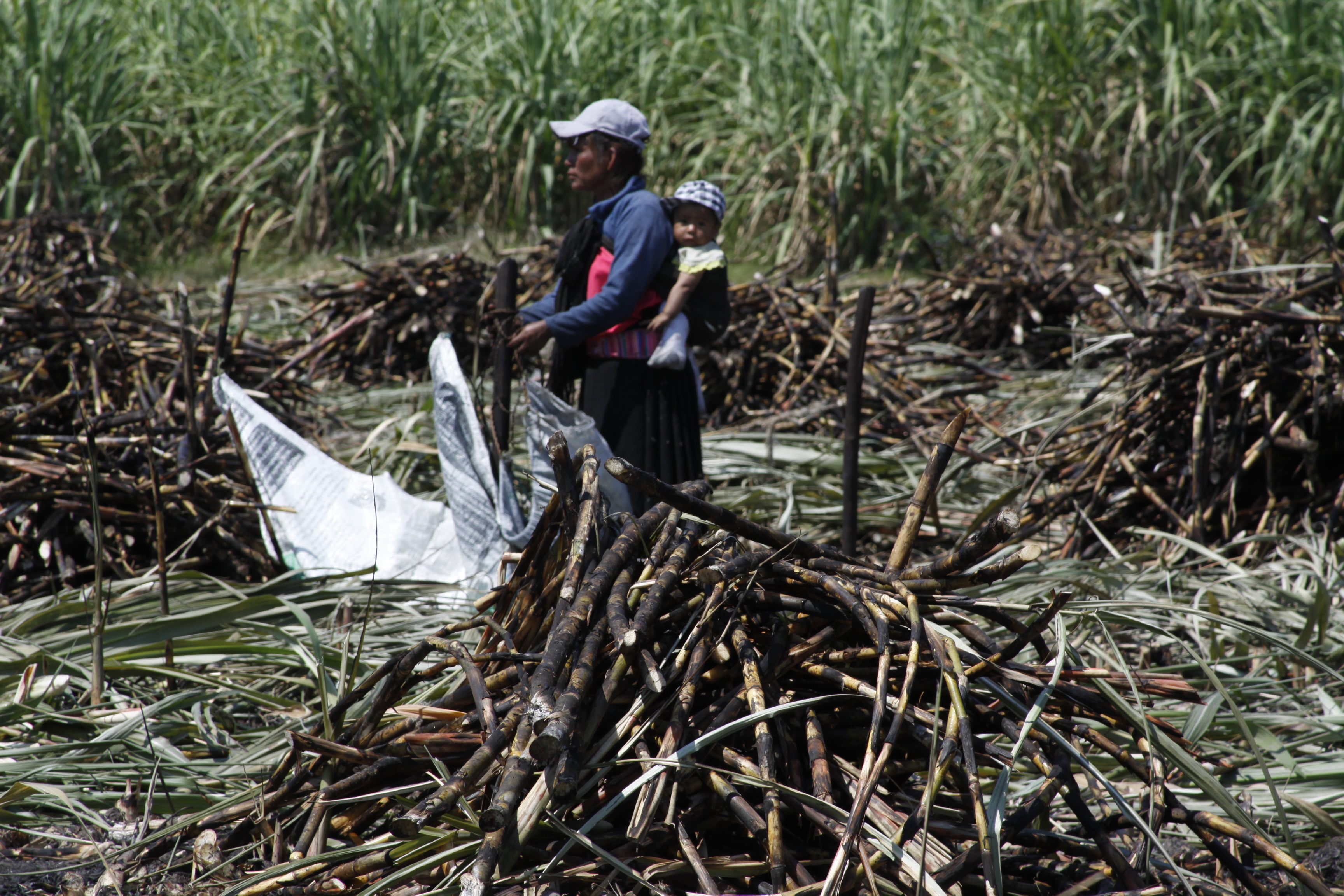 Podcast Mujeres en la Agroindustria Martha García 2021