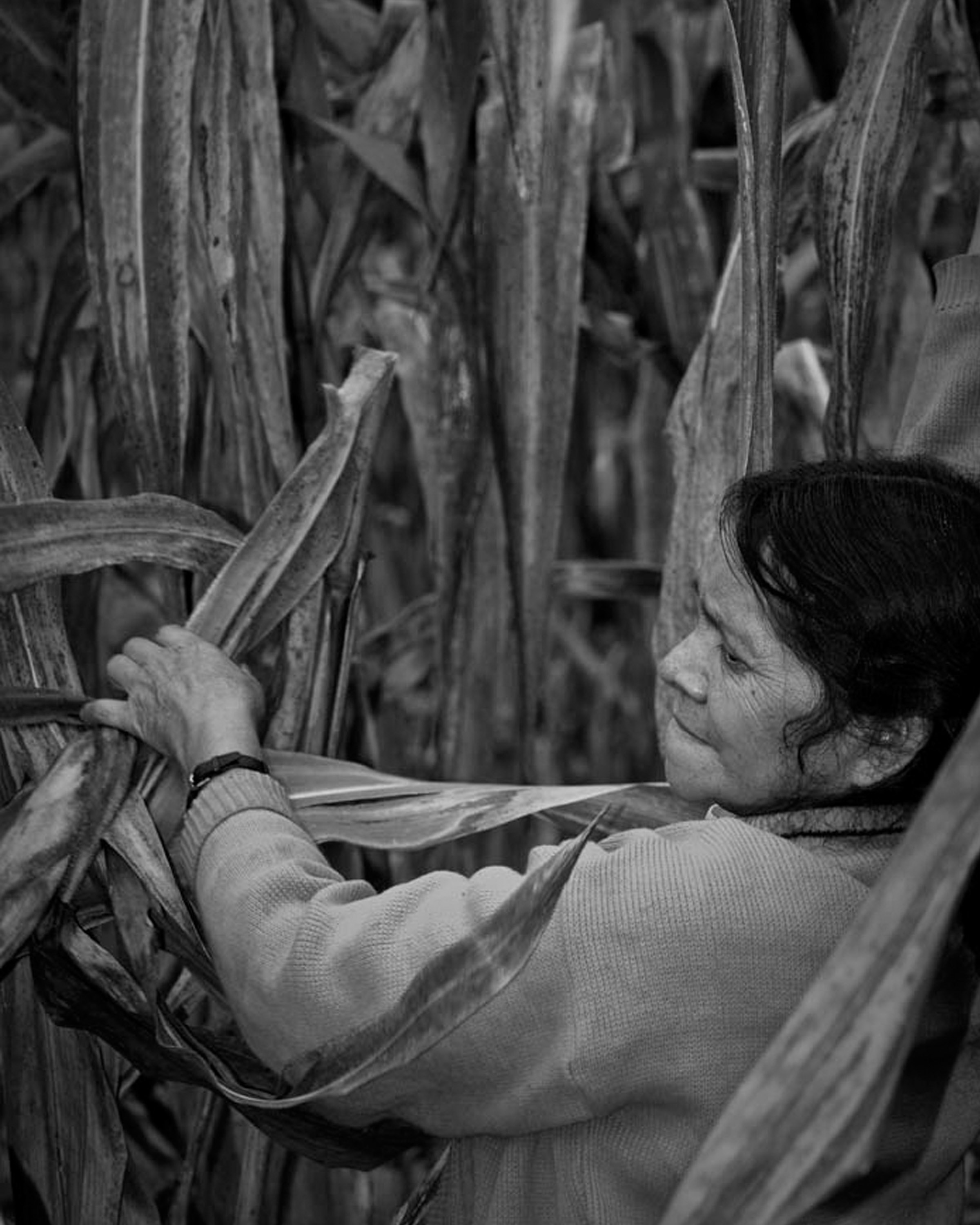 Revalorar la agricultura en México y dignificar a los agricultores
