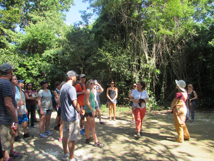 El jardín botánico “Dr. Alfredo Barrera Marín” celebra el día mundial de los humedales