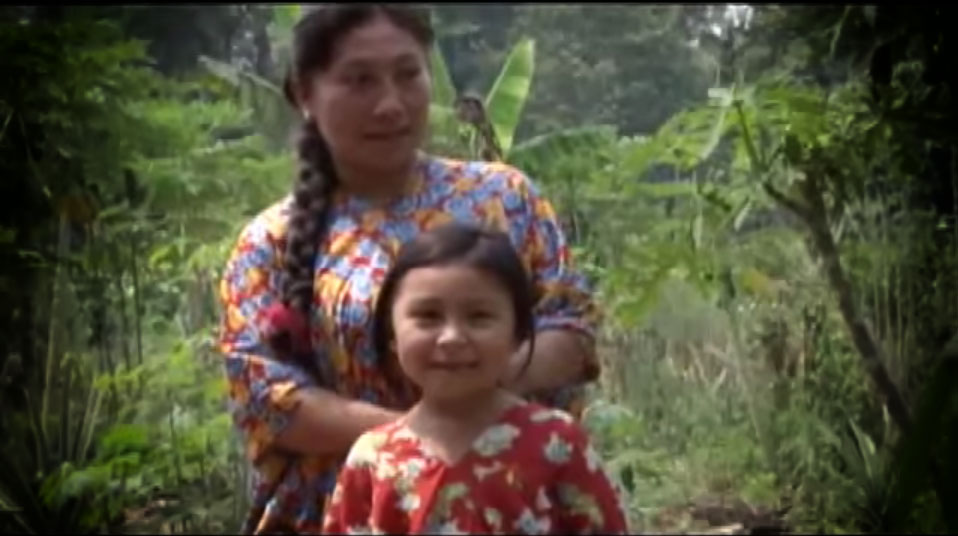 Raíces mayas para la conservación de selvas