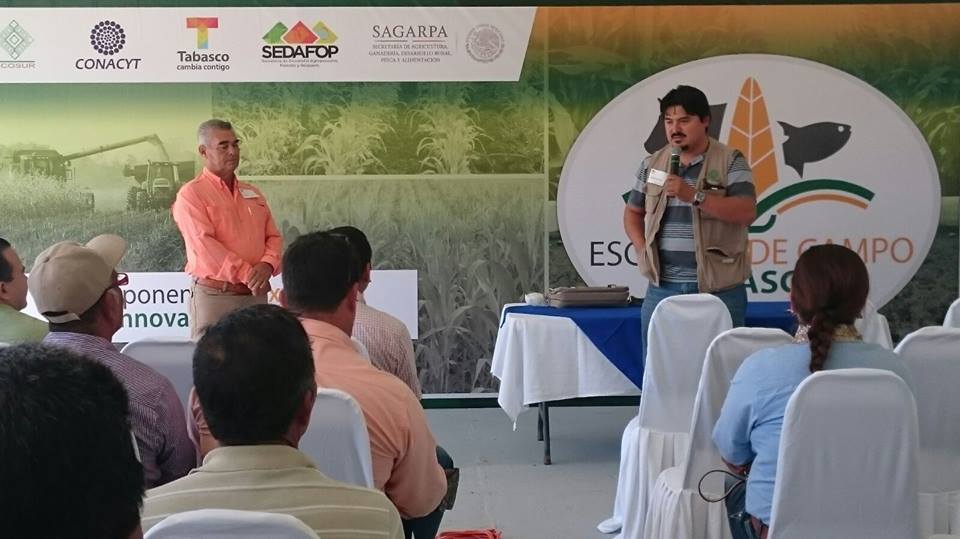 Ecosur participa en Escuelas de Campo en Tabasco