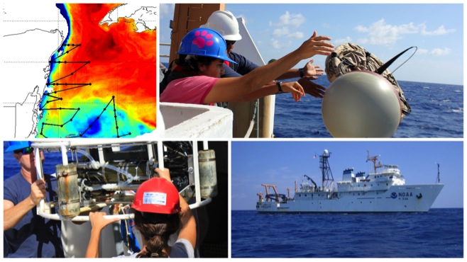 Descubre mexicana corrientes marinas en el Sistema Arrecifal Mesoamericano