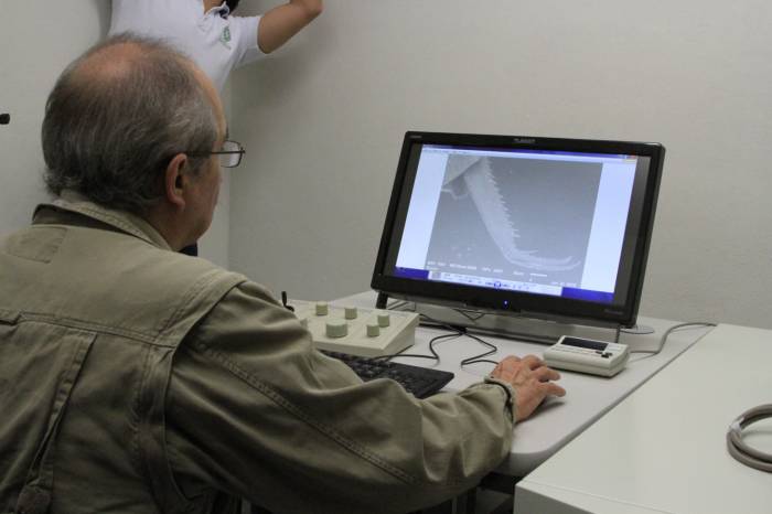 Científicos describen nuevas especies microscópicas a través del programa Código de Barras de la Vida