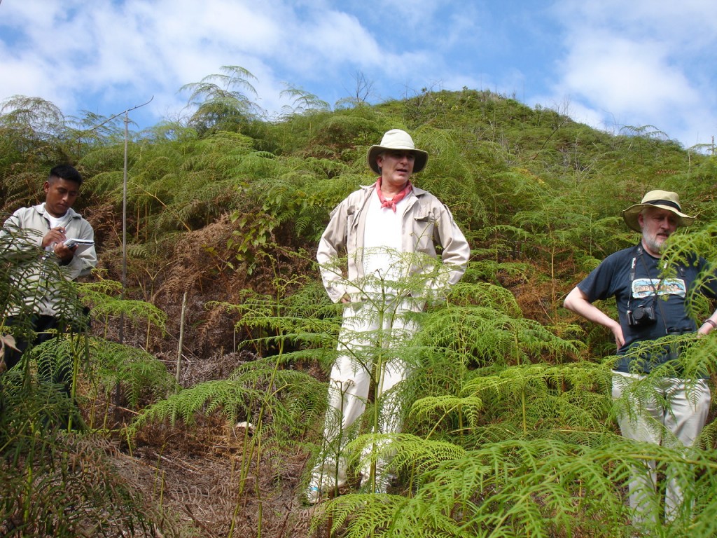 No se puede salvar la selva si prohibimos a las comunidades tocarla: Samuel Levy