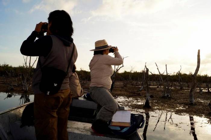 Estudiantes de ECOSUR investigan diversidad de aves en Quintana Roo