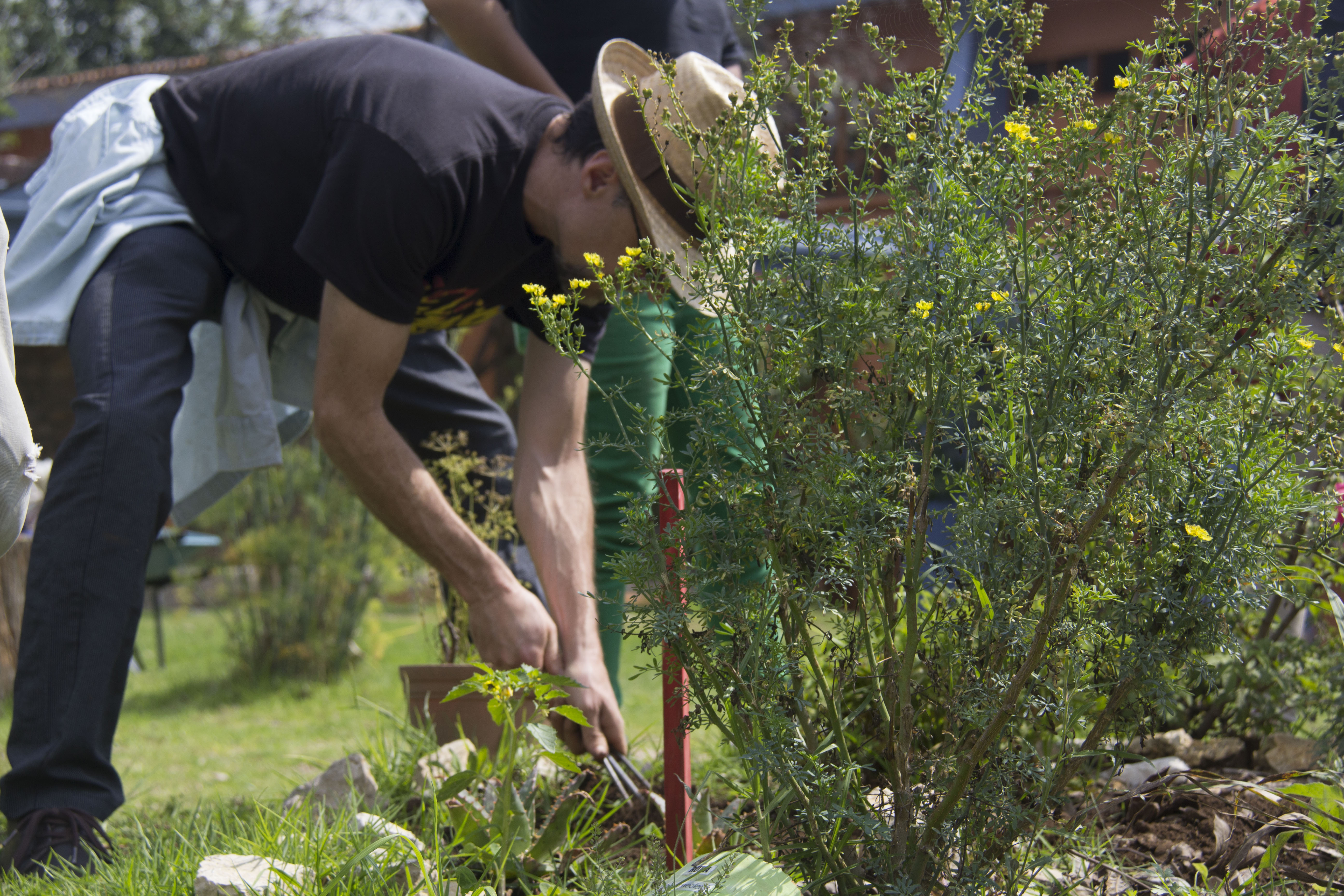 PAECOSUR realiza actividades para  promover la conservación del medio ambiente