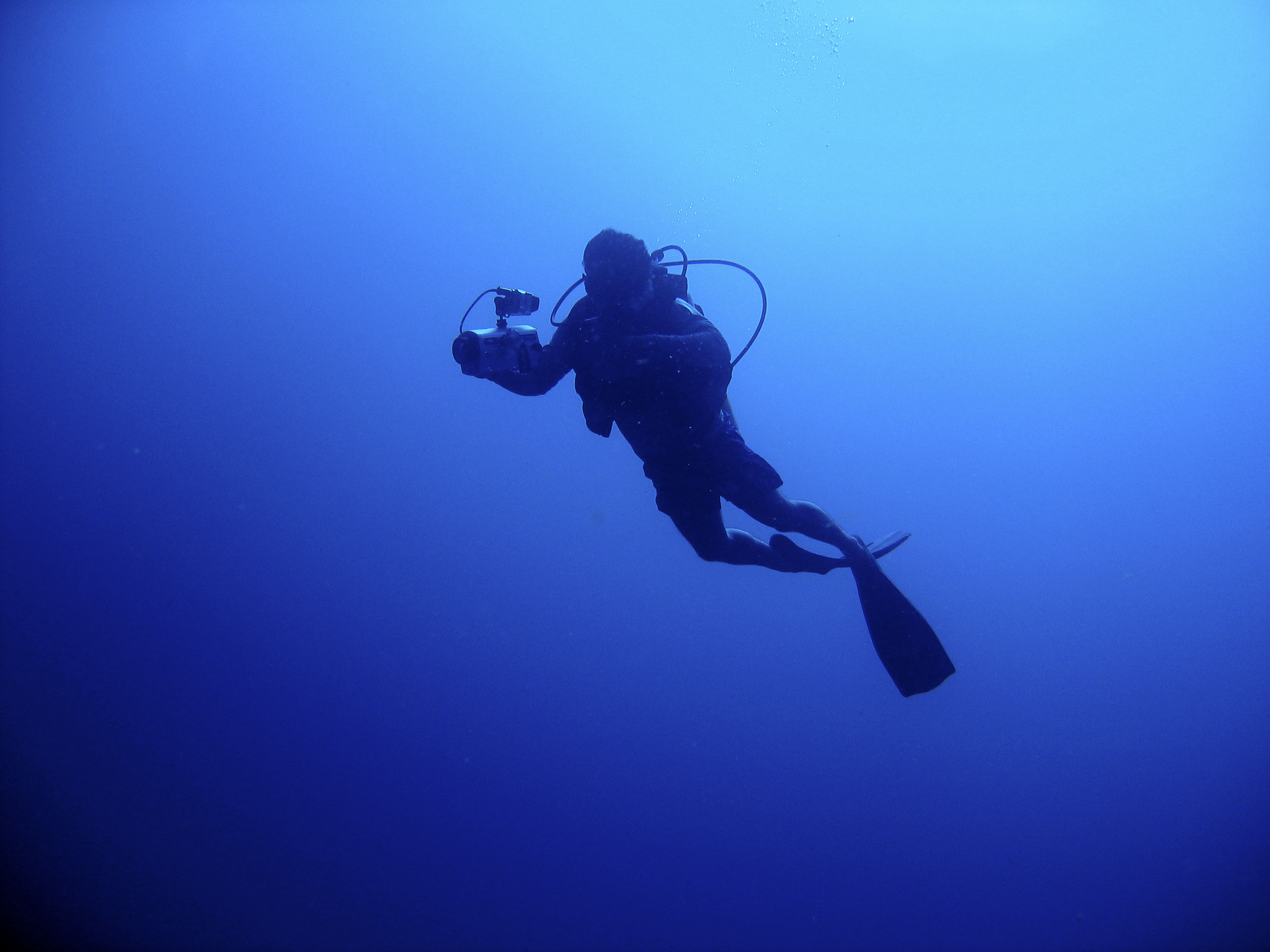 Día mundial de los oceános