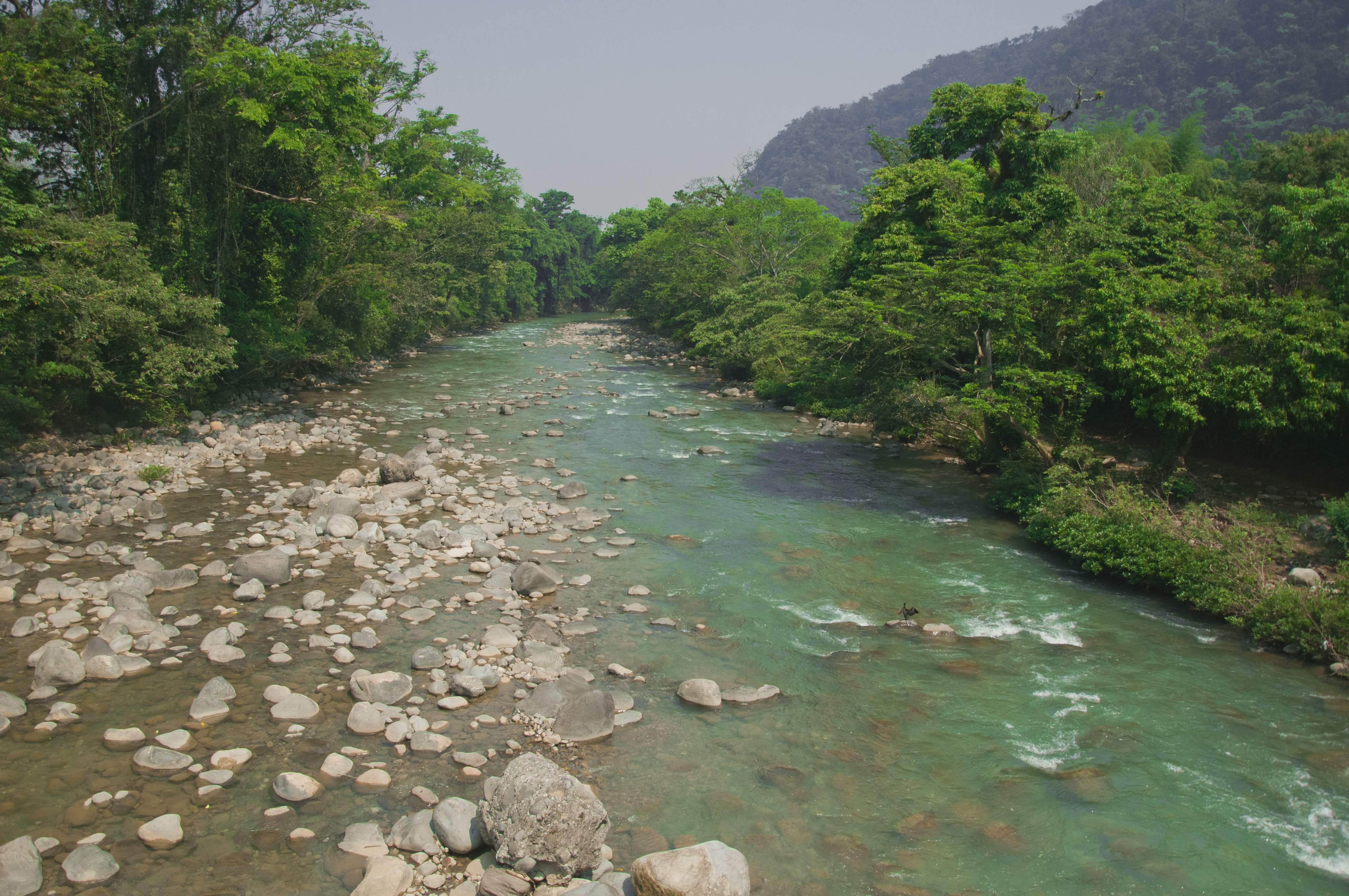Cambio de uso de suelo y sus efectos sobre ecosistemas fluviales en la cuenca baja del Grijalva