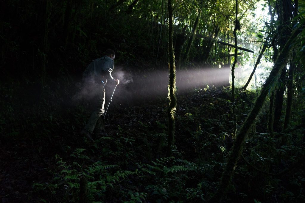 The writer, Erik Vance, explores a patch of cloud forest near El Zapotal, Veracruz. (Dominic Bracco II / Prime for Biographic)