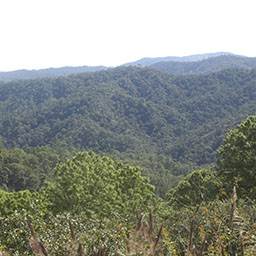 Publican libro de recomendaciones para las Áreas Naturales Protegidas de Chiapas