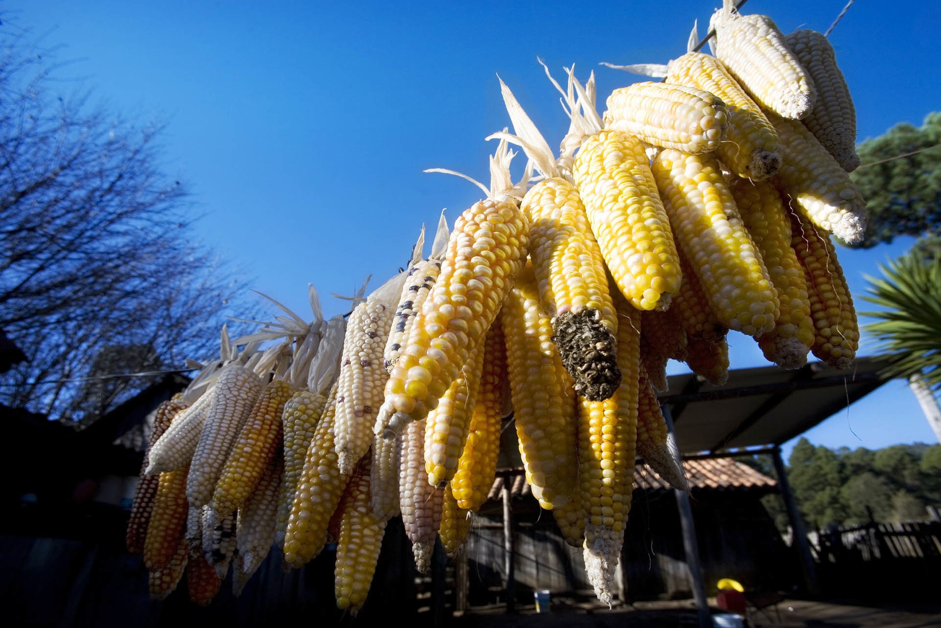 Analizan la `colonialización´ de la Agroecología