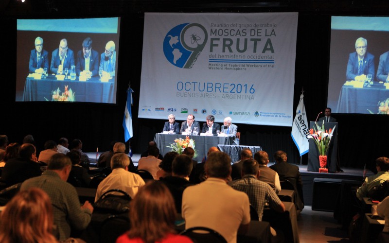 Se reúnen expertos en moscas de la fruta para intercambiar conocimientos y experiencias