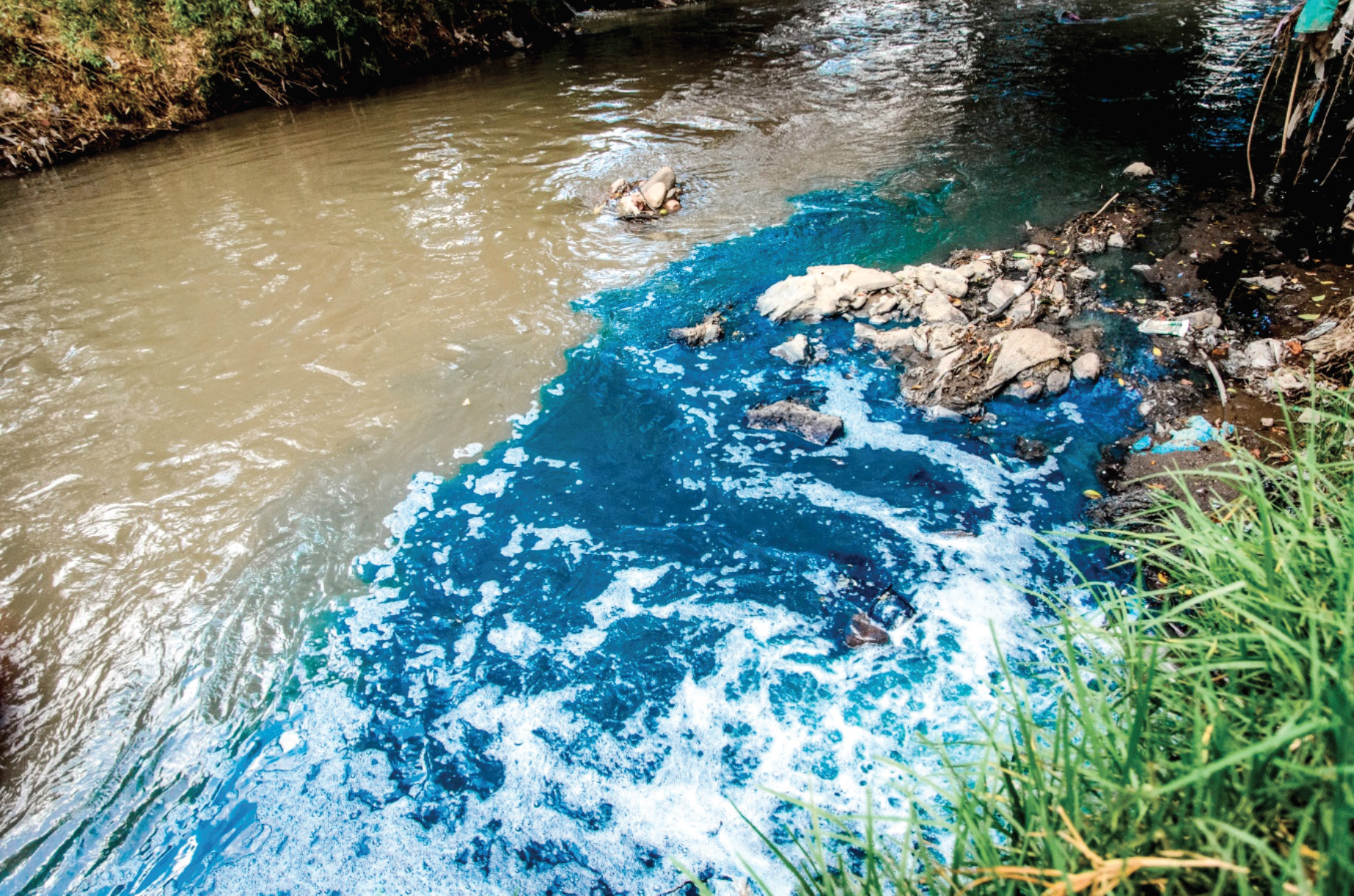 Académicos de ECOSUR hablan sobre la importancia del cuidado y el tratamiento de las aguas residuales