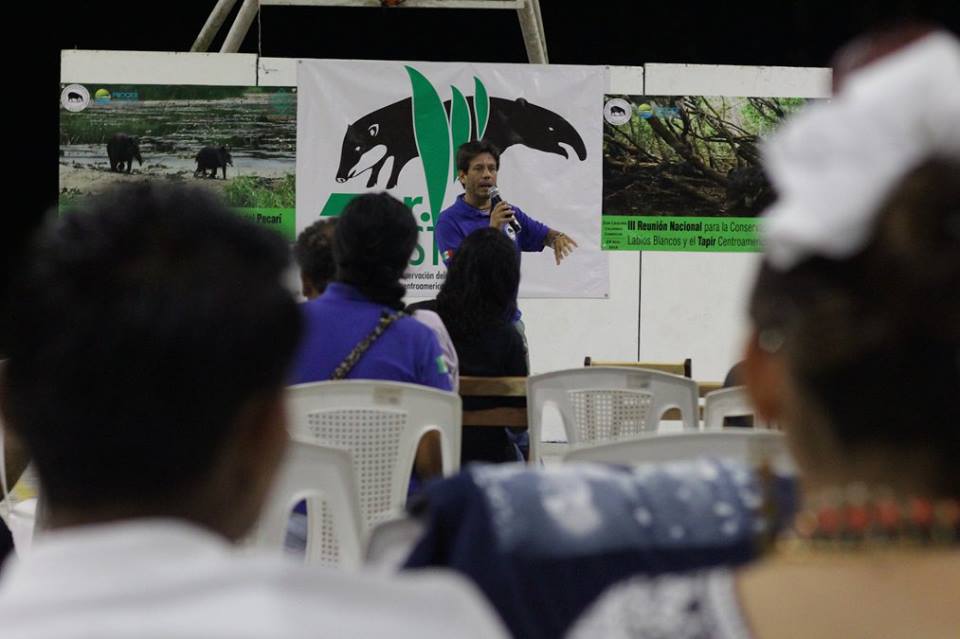 Realizan Primer Festival Nacional para la Conservación del Pecarí de labios blancos y el Tapir centroamericano en México
