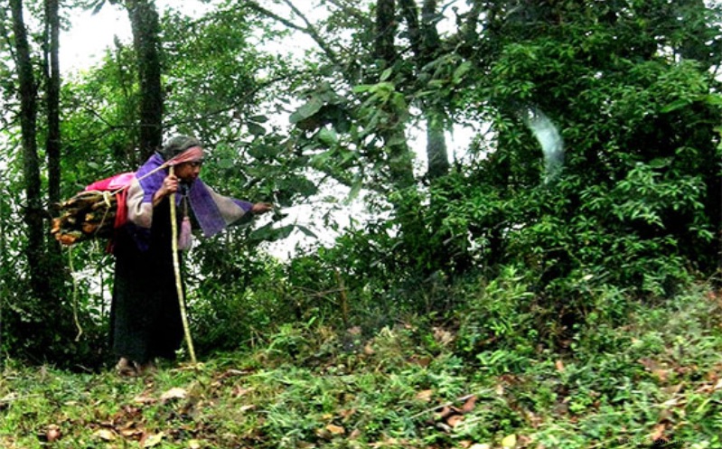 Buscan crear 23 “municipios en derechos humanos” en la frontera sur