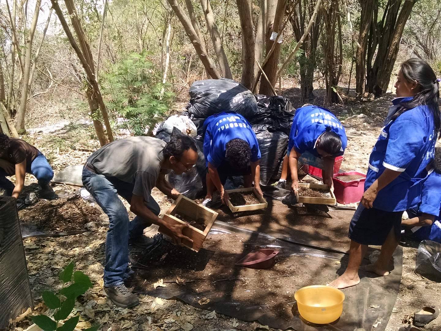 Realizan segunda colecta de humus en la Unidad Campeche