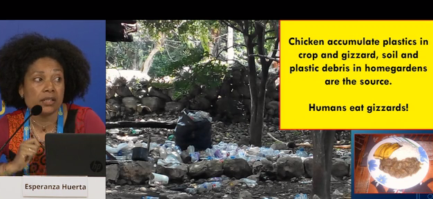 Basura plástica: cómo se transporta, llega a la cadena alimentaria y qué podemos aprender de ella