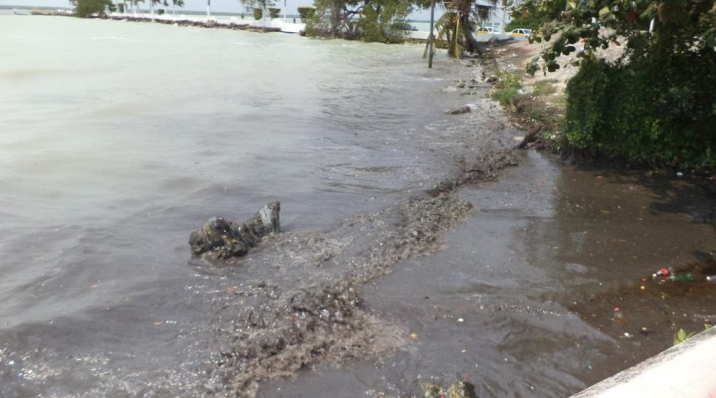 Detectan contaminantes en la bahía de Chetumal  y Río Hondo