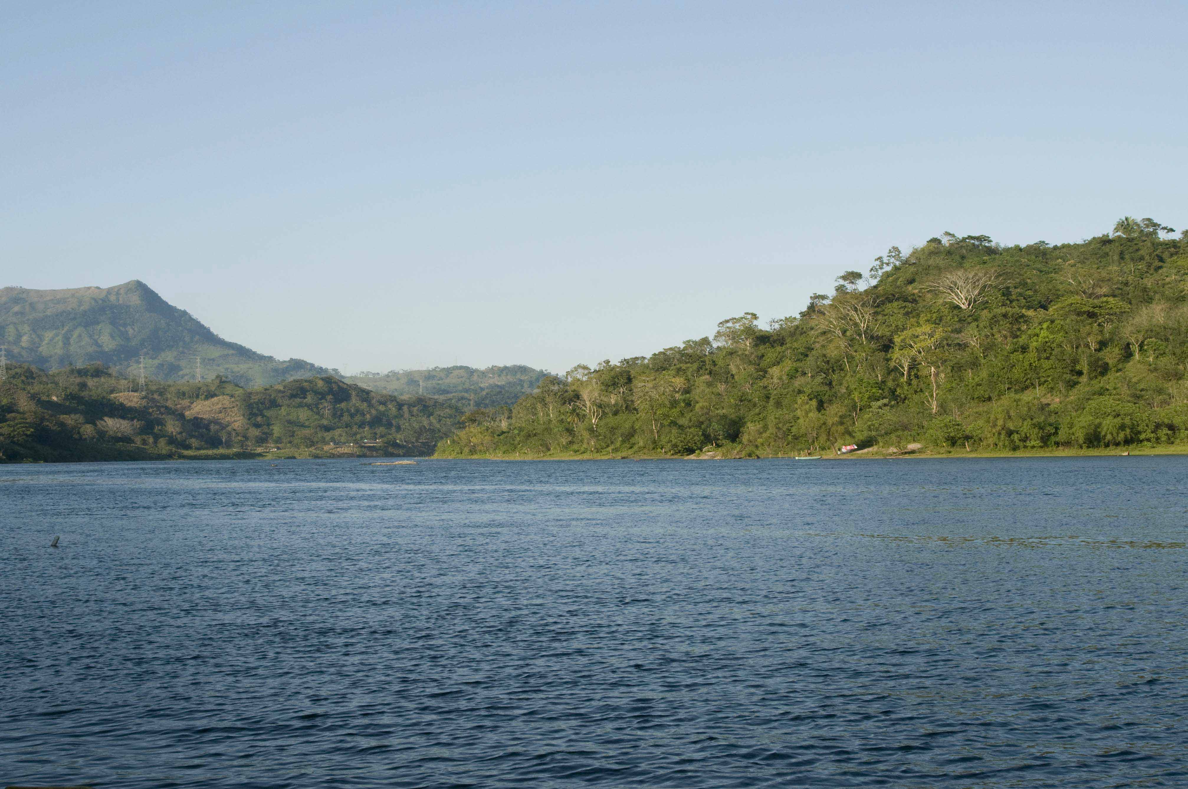 Día mundial del ambiente