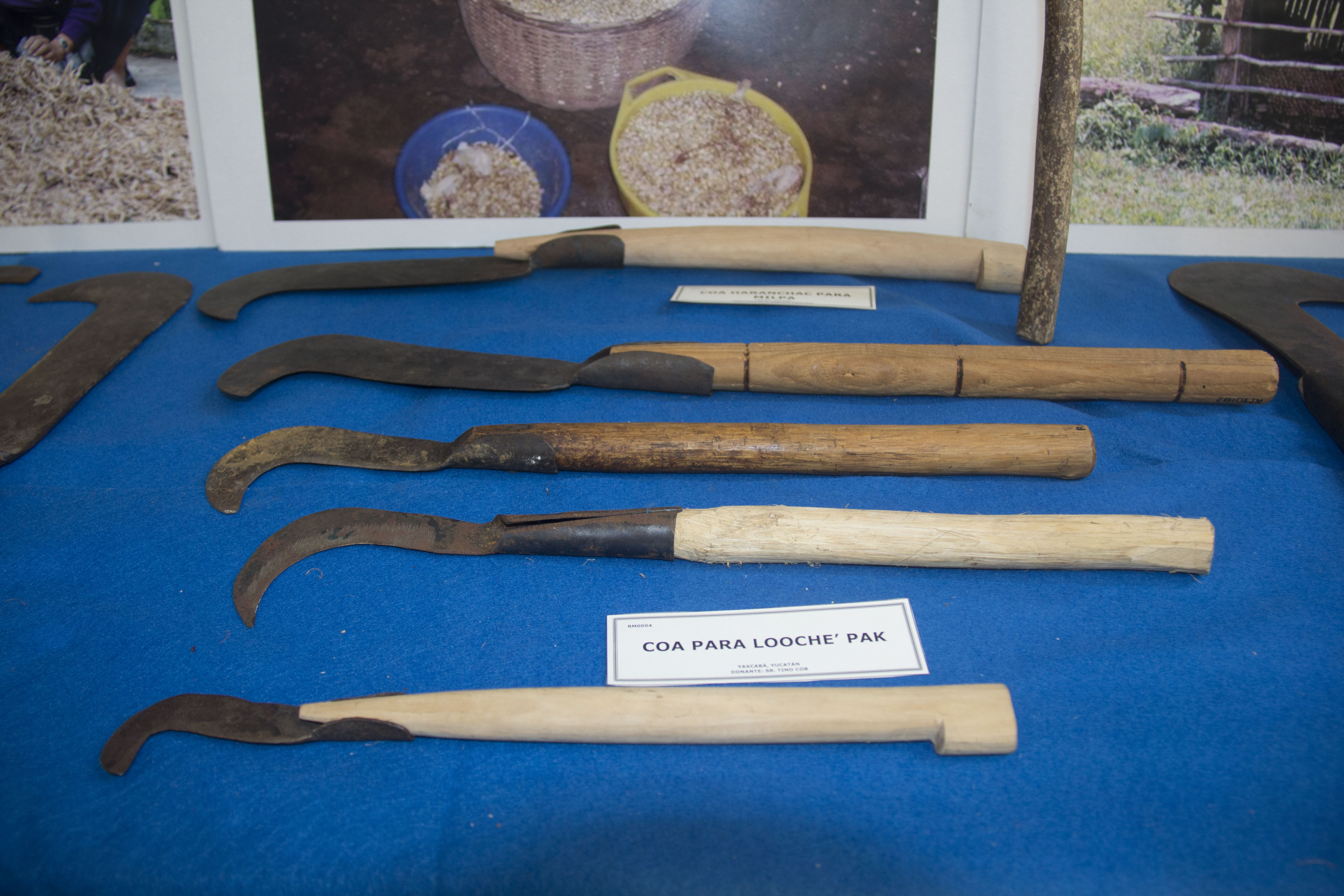 Instrumentos agrícolas tradicionales Colección Mariaca