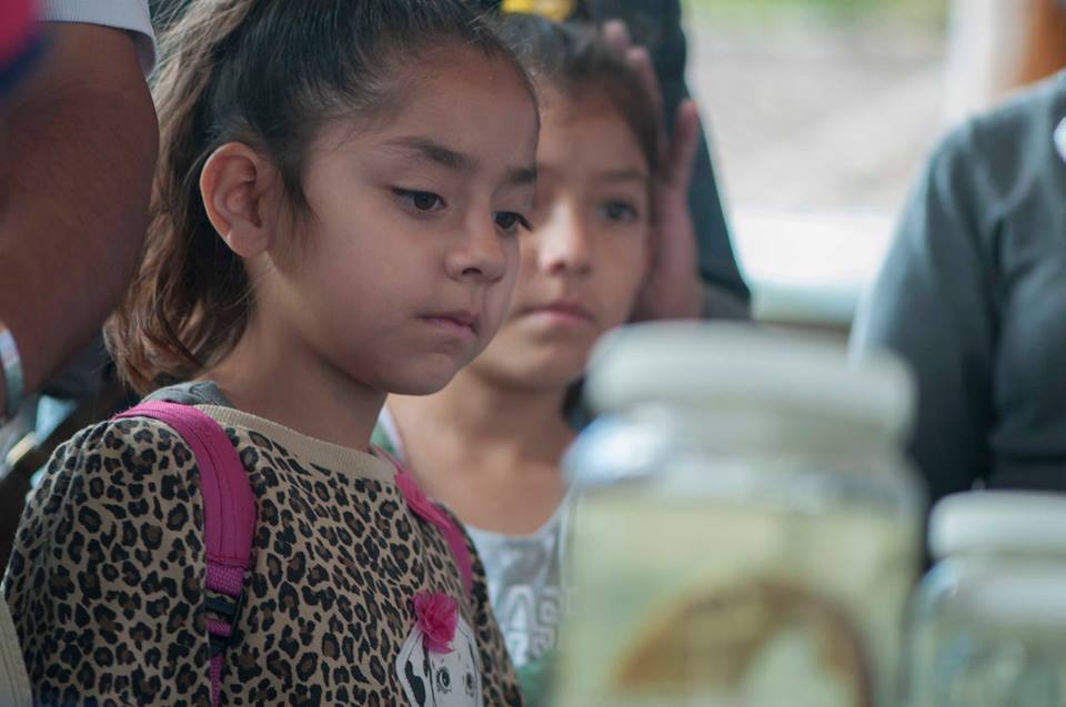 Día internacional de la mujer y la niña en la ciencia