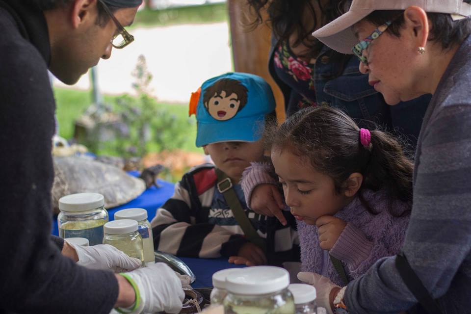 El agua y la gestión de vida en ECOSUR A Puertas Abiertas en la Unidad San Cristóbal