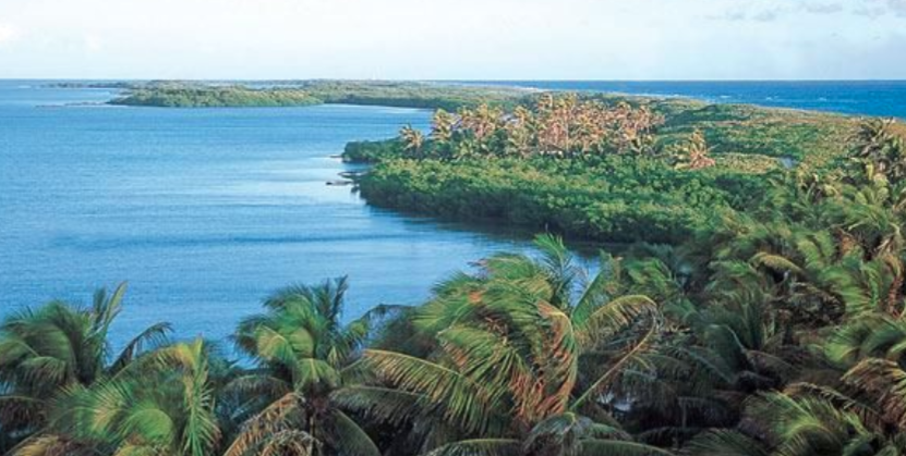 Flora y fauna será protegida en la zona sur de Quintana Roo