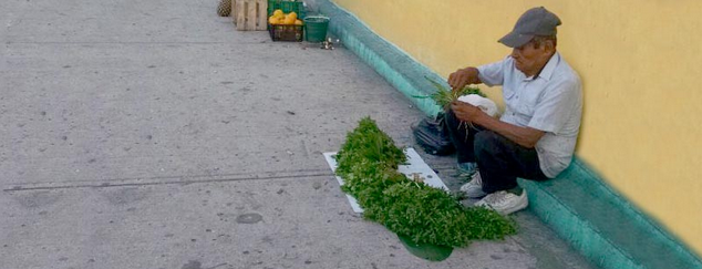 Indígenas y espacio urbano