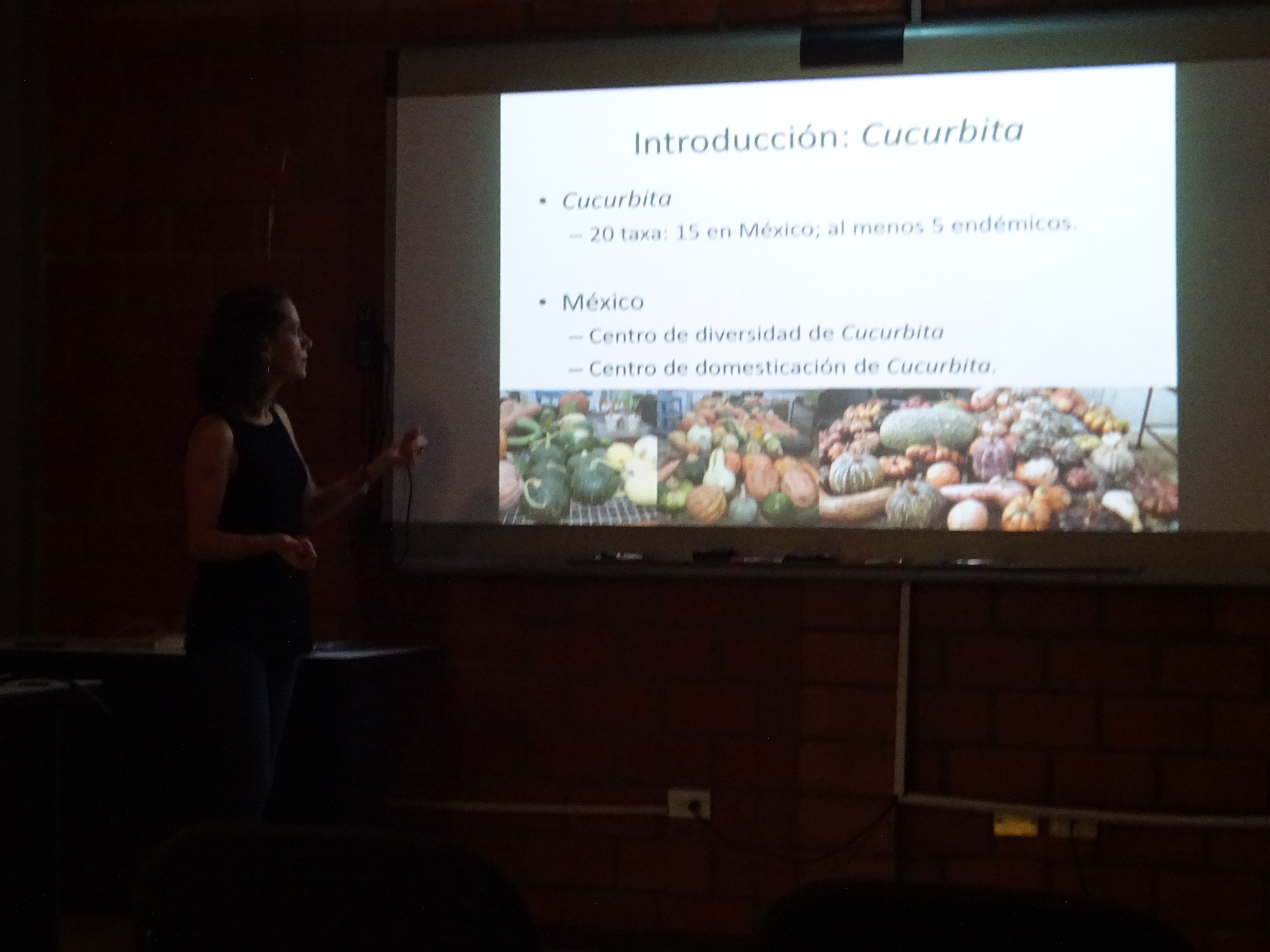 Analizan variación y estructura genética de especies de roedores para su conservación