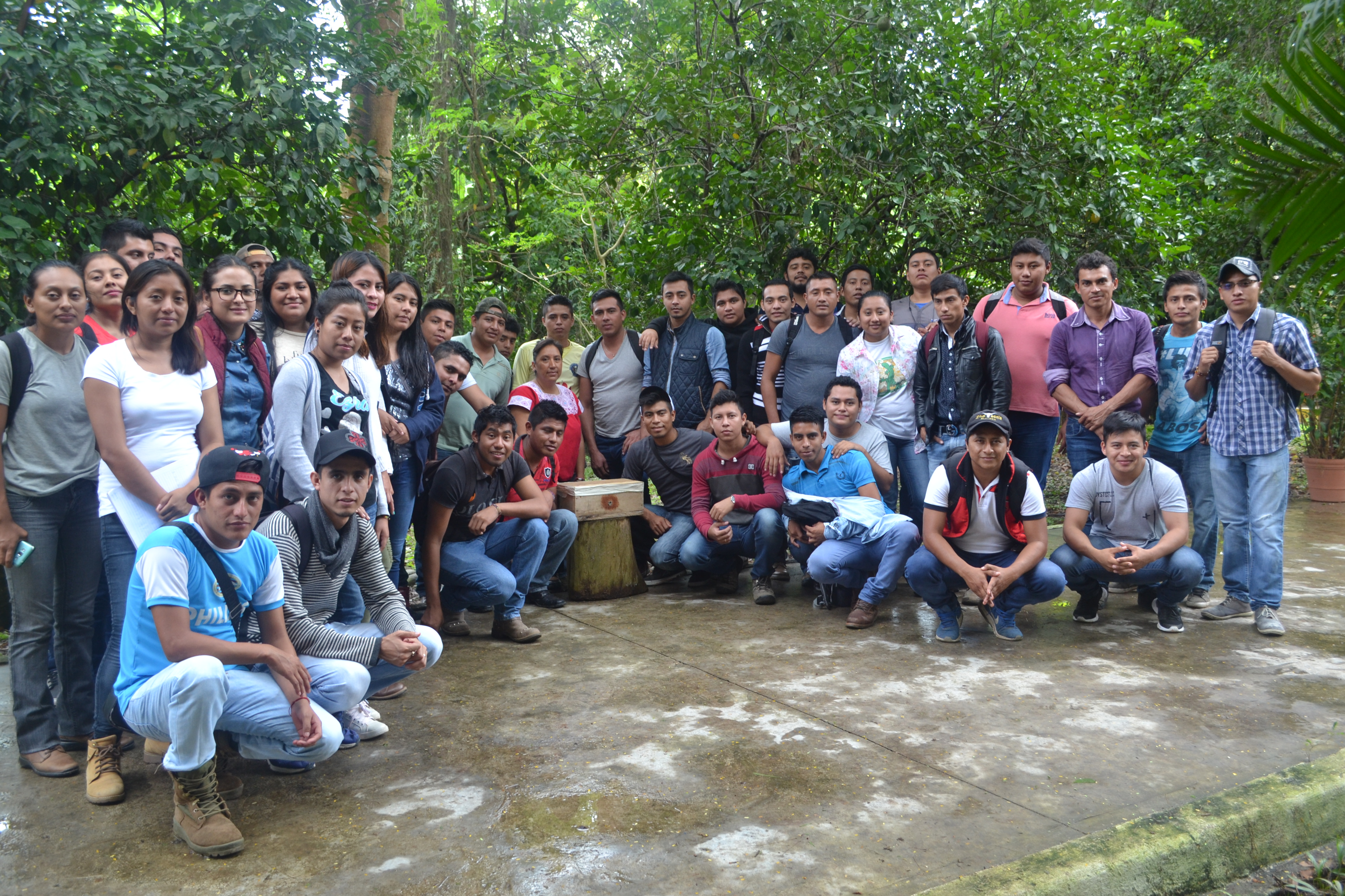 Estudiantes de la UNICACH amplían su conocimiento sobre ecofisiología en sistemas agroforestales en ECOSUR