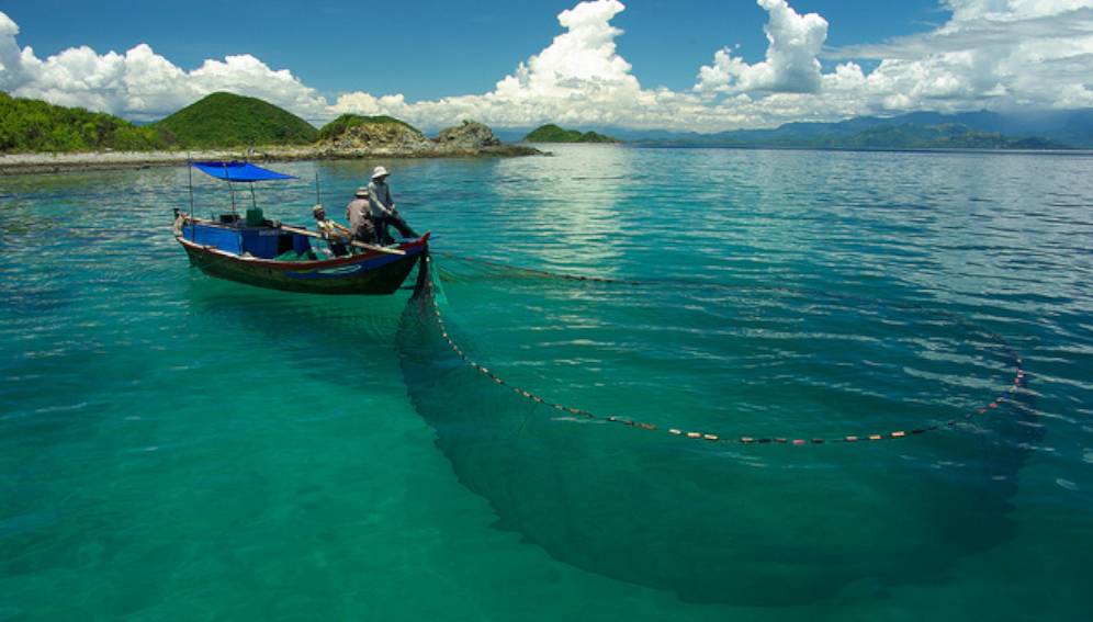 Reservas marinas: aliadas contra cambio climático