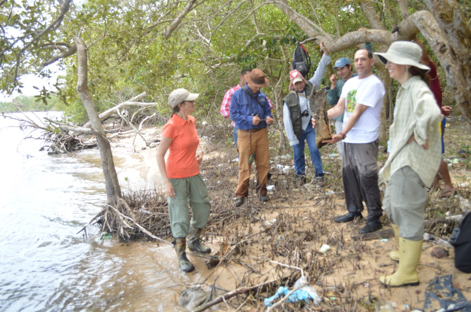 Humedales en Tabasco, ecosistemas esenciales para un futuro urbano sustentable